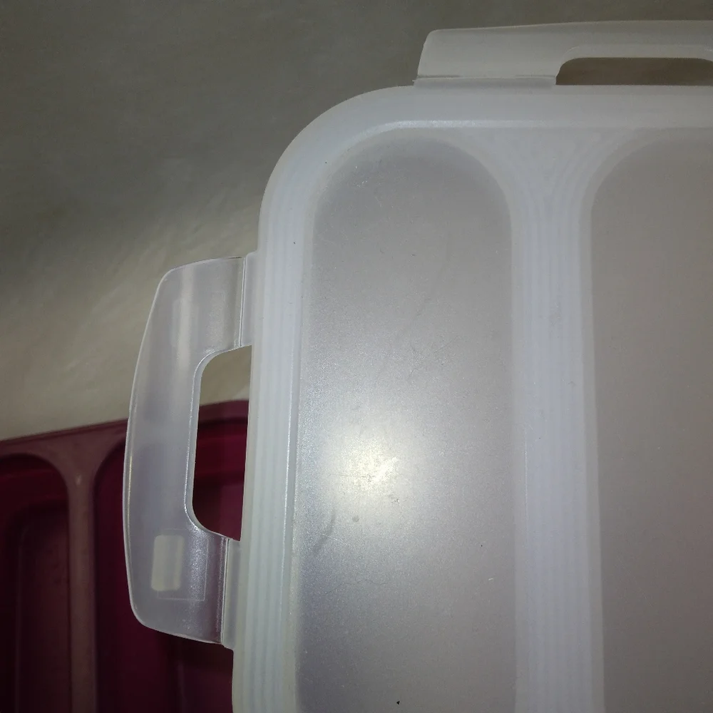 Crofton Perfect Postion Silicon Container w/locking lid, collapsible, Ma…